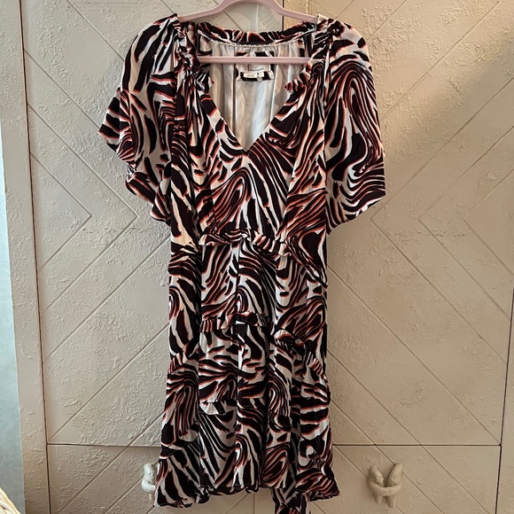 Anthropologie Zebra Print Mini Dress - Brown and Black - Picture 4 of 5